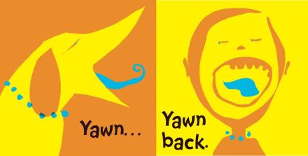 celebrate-picture-books-picture-book-review-interview-with-wendy-wahman-yawn-back