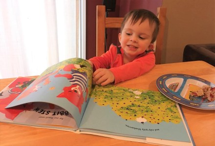 celebrate-picture-books-picture-book-review-rabbit-stew-fan