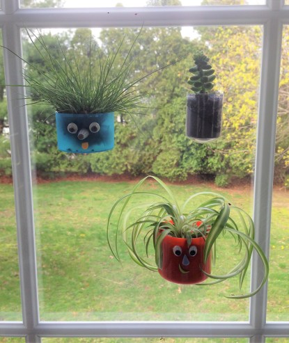 celebrate-picture-books-picure-book-review-window-terrarium-1