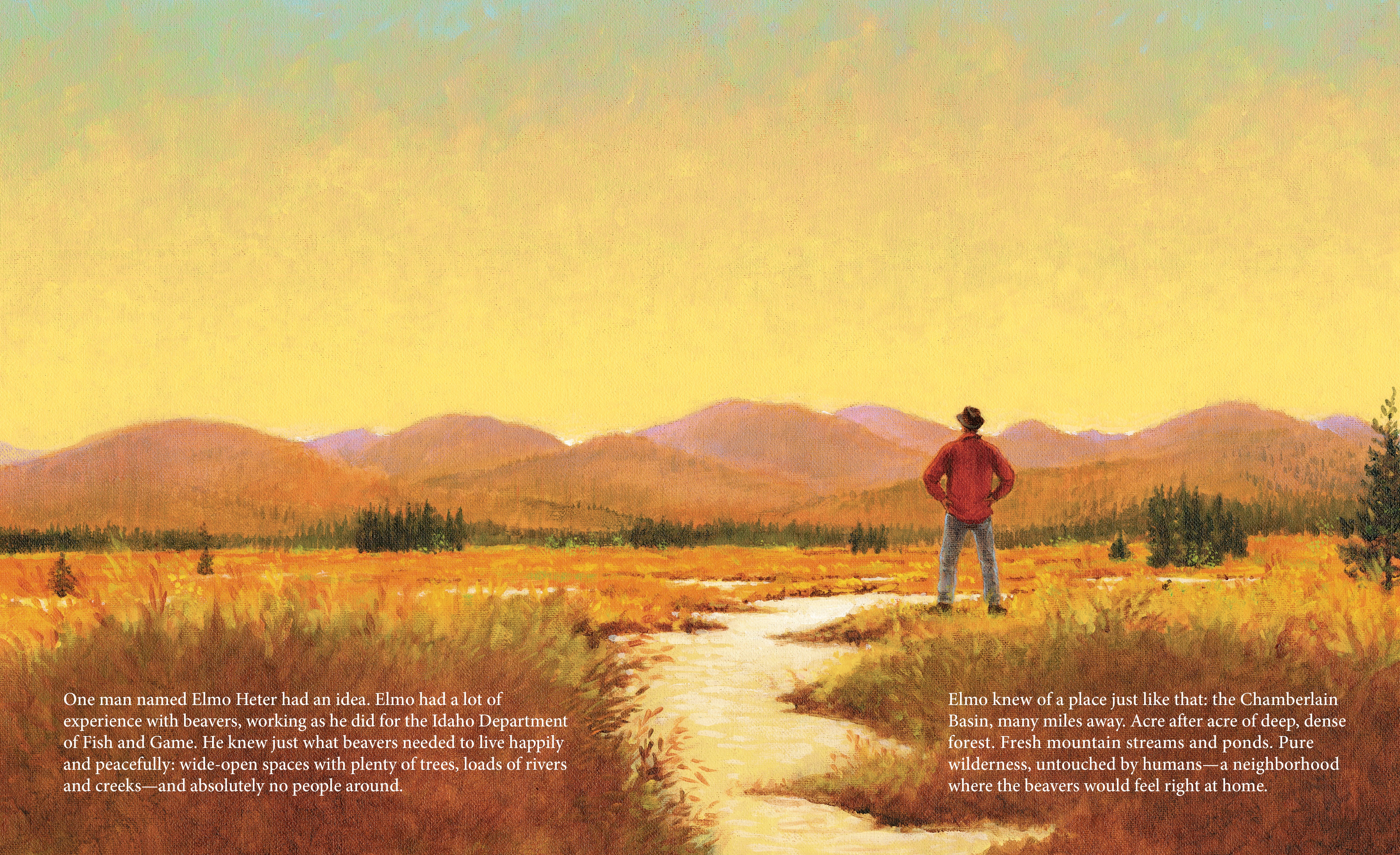 celebrate-picture-books-picture-book-review-the-skydiving-beavers-a-true-tale-sunset