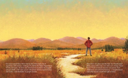 celebrate-picture-books-picture-book-review-the-skydiving-beavers-a-true-tale-sunset