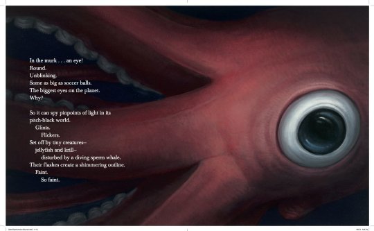 celebrate-picture-books-picture-book-review-giant-squid-big-eye