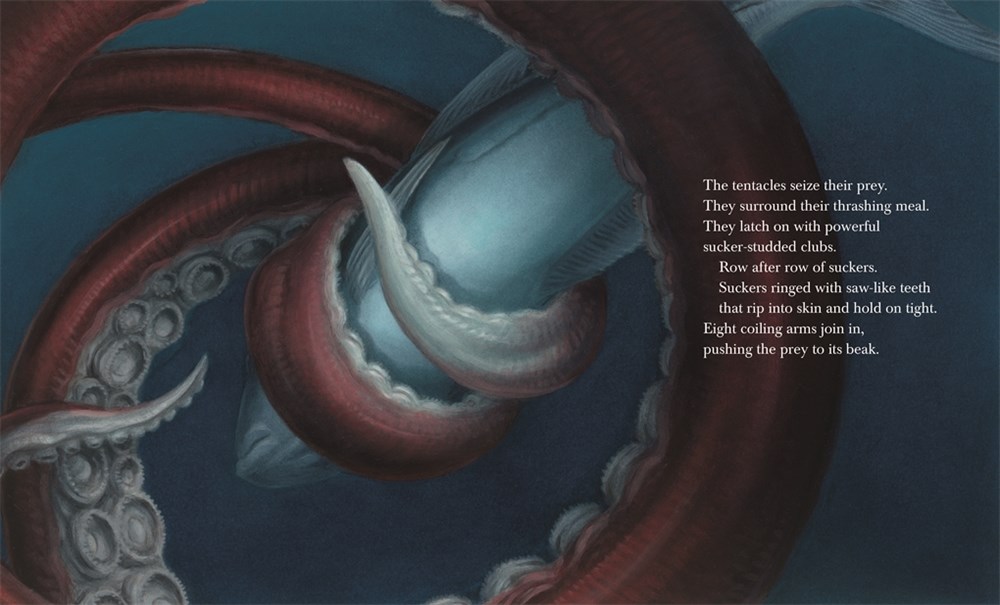 celebrate-picture-books-picture-book-review-giant-squid-tentacles