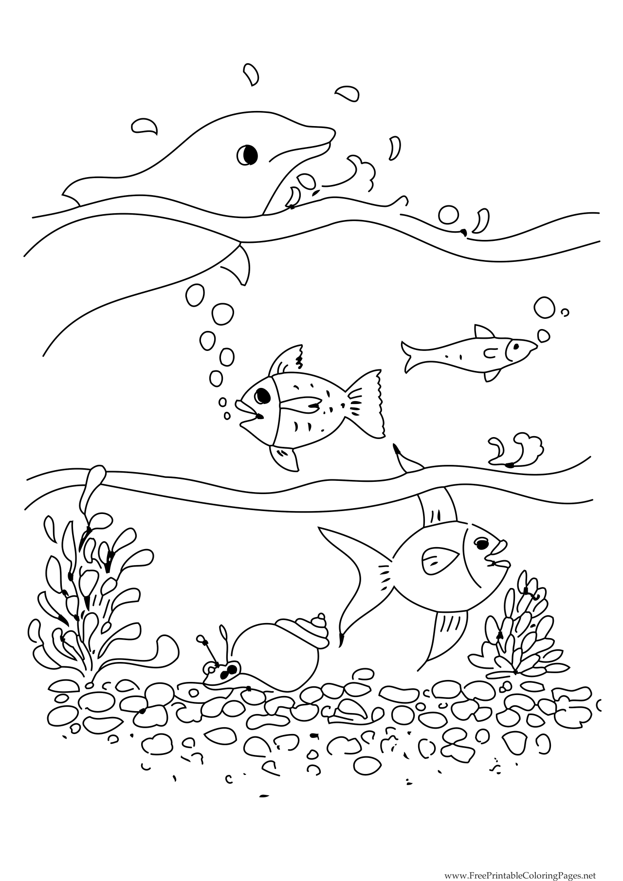 celebrate-picture-books-picture-book-review-ocean-coloring-page