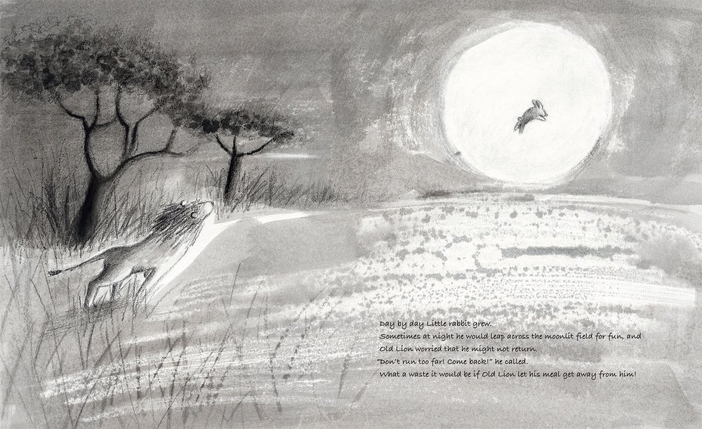 celebrate-picture-books-picture-book-review-old-lion-and-little-rabbit-hopping-in-moonlight
