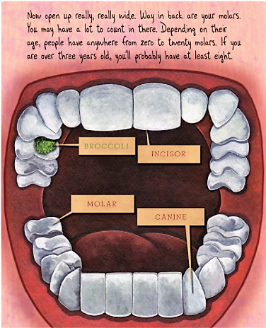 celebrate-picture-books-picture-book-review-tooth-by-tooth-human-mouth