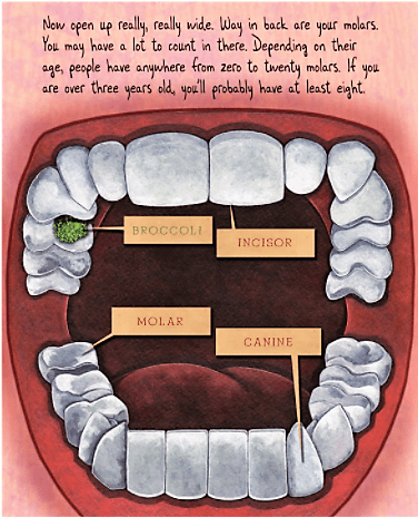 celebrate-picture-books-picture-book-review-tooth-by-tooth-human-mouth