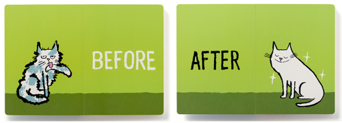 celebrate-picture-books-picture-book-review-before-and-after-cat