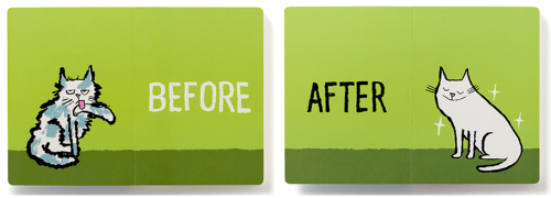 celebrate-picture-books-picture-book-review-before-and-after-cat