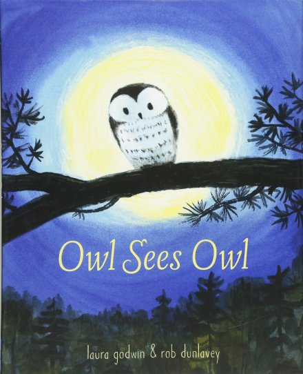 celebrate-picture-books-picture-book-review-owl-sees-owl-cover