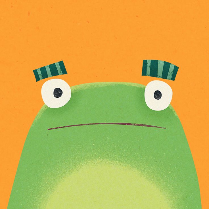 celebrate-picture-books-picture-book-review-the-bear-who-stared-frog