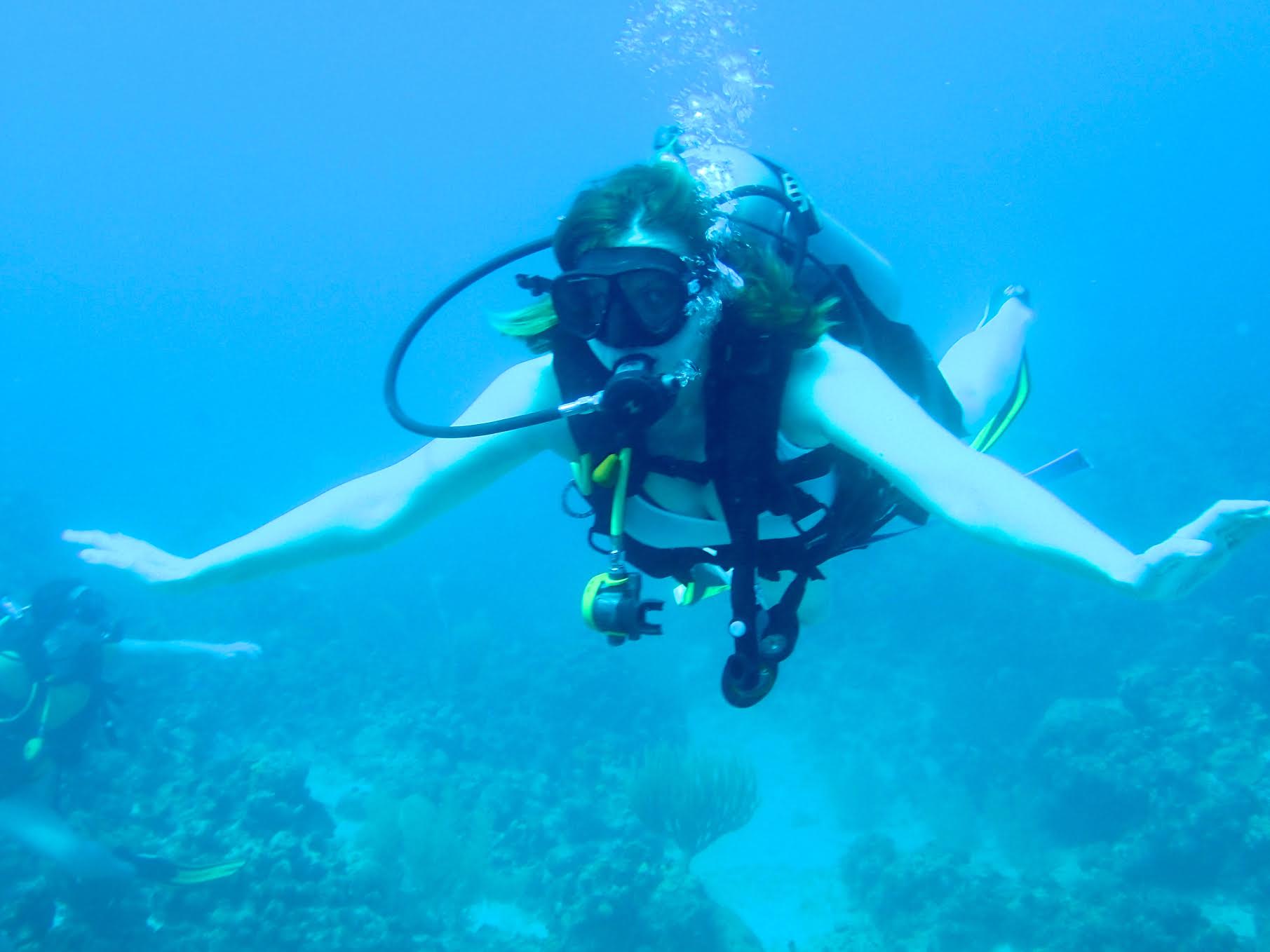 celebrate-picture-books-picture-book-review-heather-lang-scuba-diving