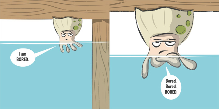Barnacle is Bored