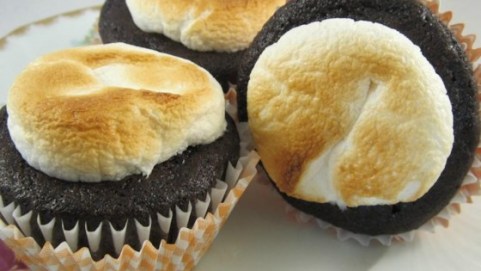 celebrate-picture-books-all-recipes-toasted-marshmallows-cupcakes