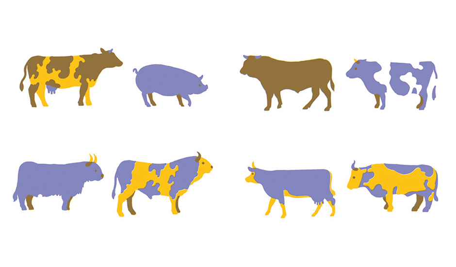 celebrate-picture-books-picture-book-review-animals-hide-and-sneak-cows