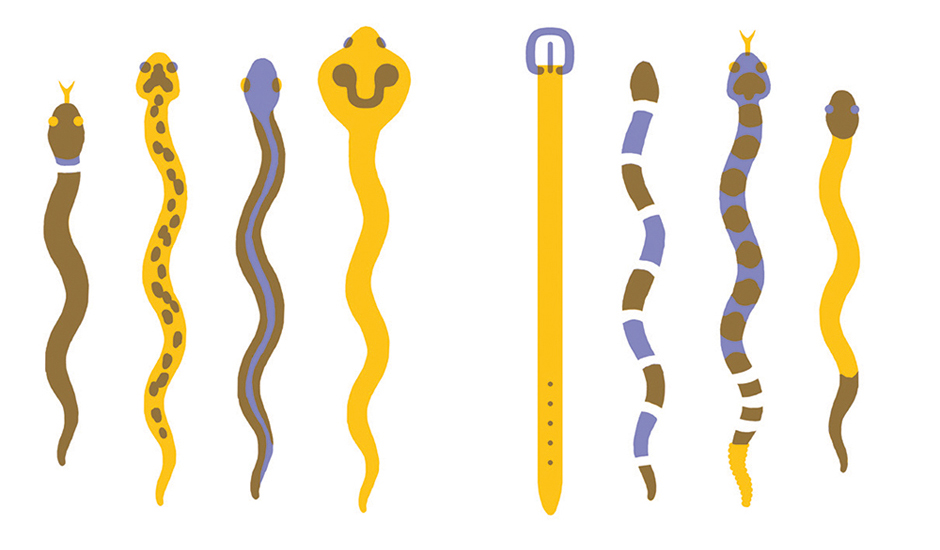 celebrate-picture-books-picture-book-review-animals-hide-and-sneak-snakes