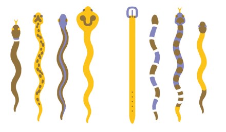 celebrate-picture-books-picture-book-review-animals-hide-and-sneak-snakes