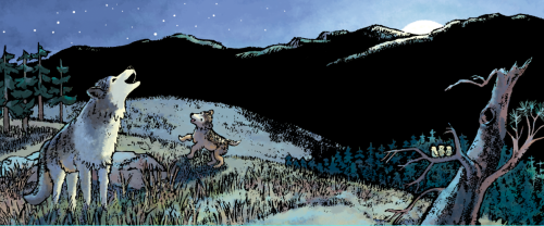 celebrate-picture-books-picture-book-review-little-wolf's-first-howling-big-wolf-demonstrating