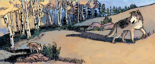 celebrate-picture-books-picture-book-review-little-wolf's-first-howling-exploring