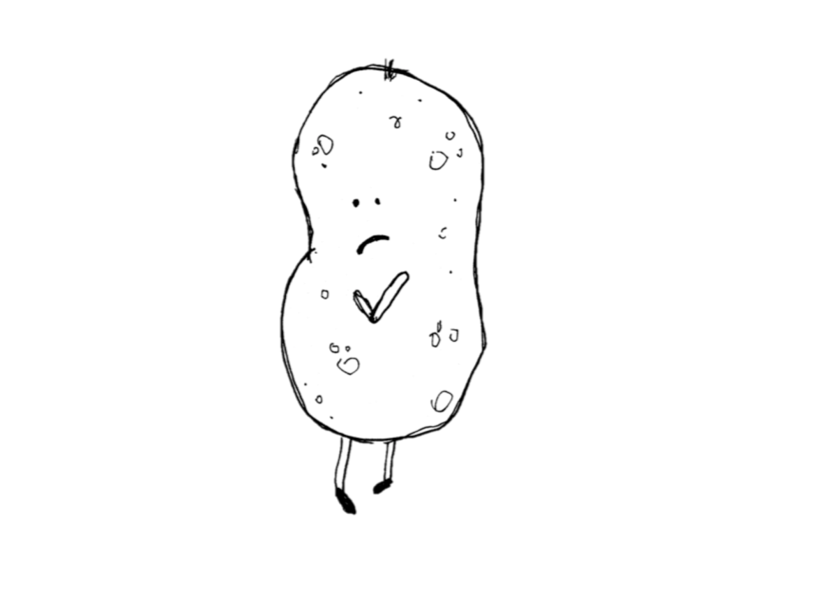 celebrate-picture-books-picture-book-review-michelle-cuevas-interview