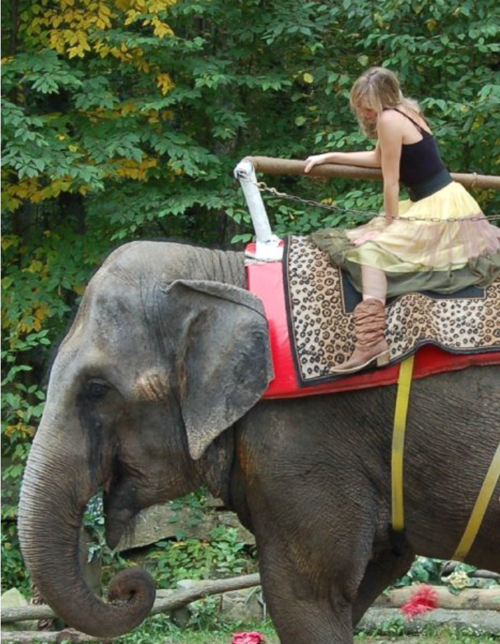 celebrate-picture-books-picture-book-review-michelle-cuevas-interview