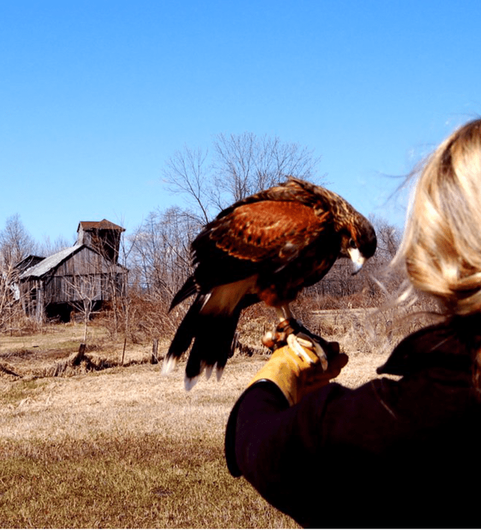 celebrate-picture-books-picture-book-review-michelle-cuevas-interview