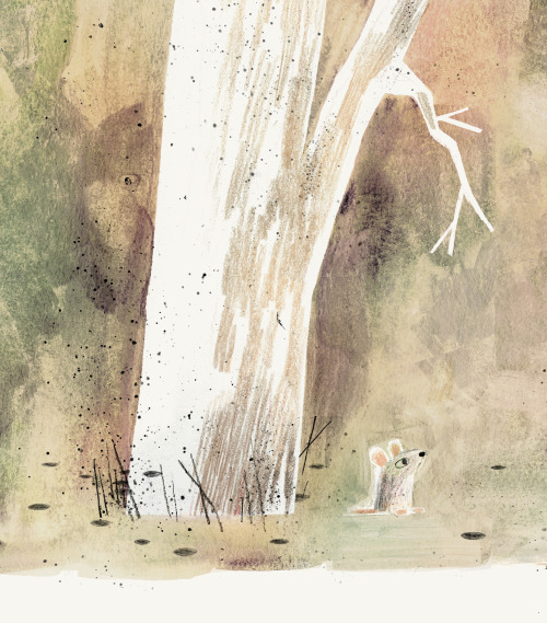 celebrate-picture-book-picture-book-review-the-wolf-the-duck-and-the-mouse-mouse-meets-wolf