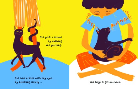 celebrate-picture-books-picture-book-review-a-cat-like-that-meeting