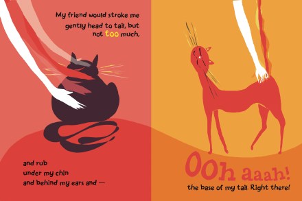 celebrate-picture-books-picture-book-review-a-cat-like-that-petting