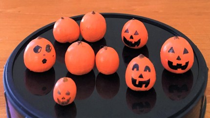 celebrate-picture-books-picture-book-review-acorn-pumpkins-craft (3)