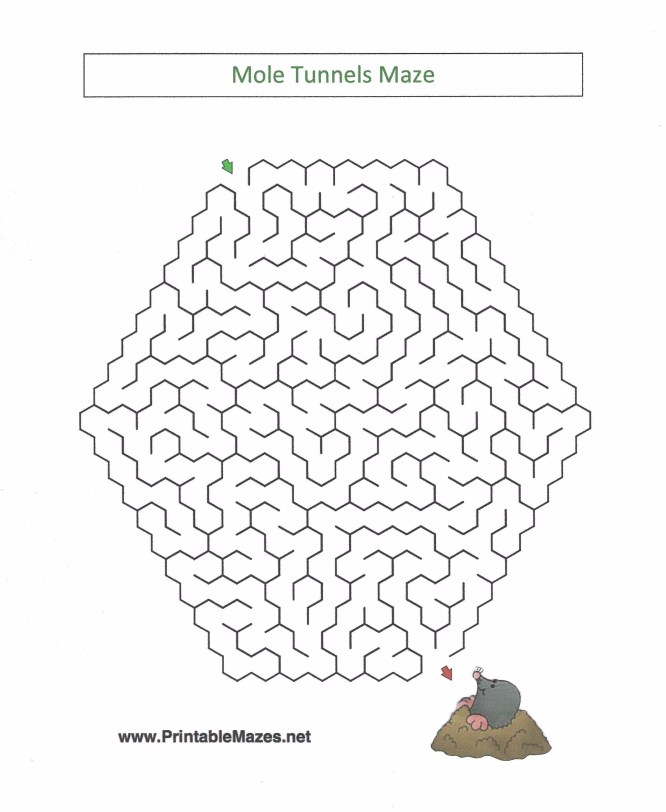 celebrate-picture-books-picture-book-review-mole-maze