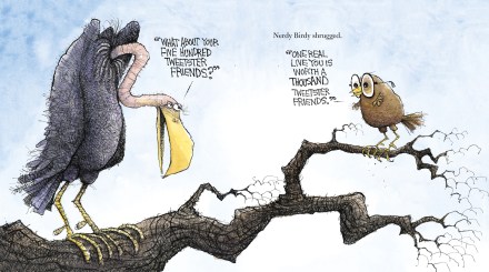 celebrate-picture-books-picture-book-review-nerdy-birdy-tweets-apology