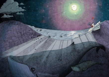 celebrate-picture-books-picture-book-review-south-daniel-duncan-whales