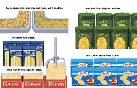 celebrate-picture-books-picture-book-review-the-great-pasta-escape-different-types-of-pasta