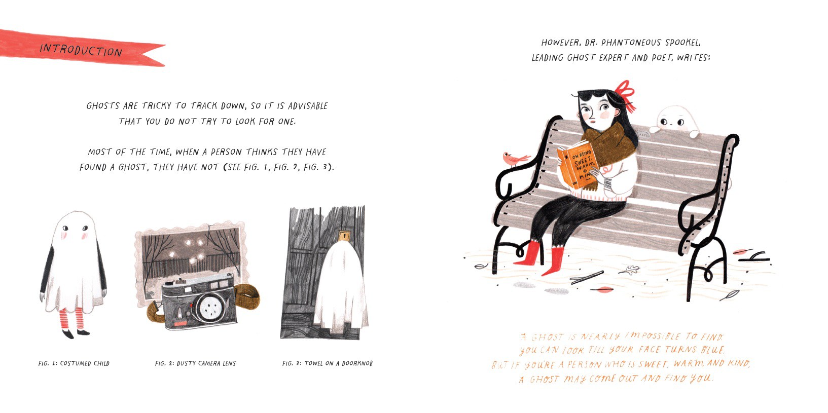 celebrate-picture-books-picture-book-review-how-to-make-friends-with-a-ghost-false-sightings