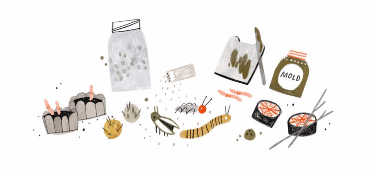 celebrate-picture-books-picture-book-review-how-to-make-friends-with-a-ghost-snacks