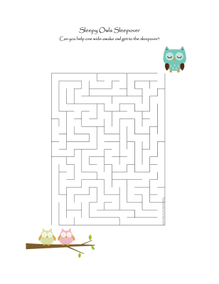 celebrate-picture-books-picture-book-review-sleepy-owls-maze