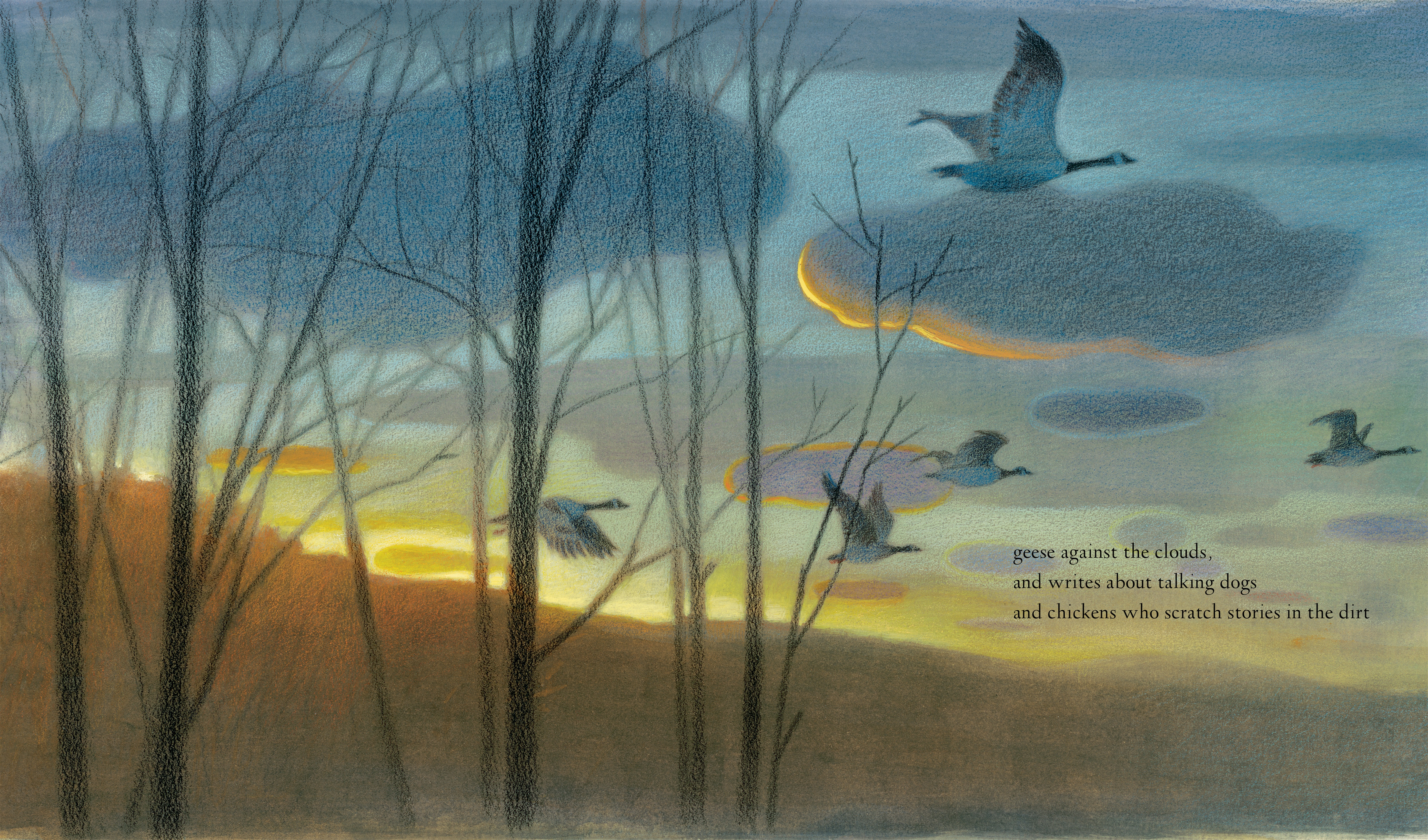 celebrate-picture-books-picture-book-review-someone-like-me-geese