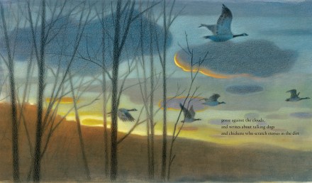 celebrate-picture-books-picture-book-review-someone-like-me-geese