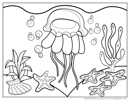 celebrate-picture-books-picture-book-review--jellyfish-coloring-page