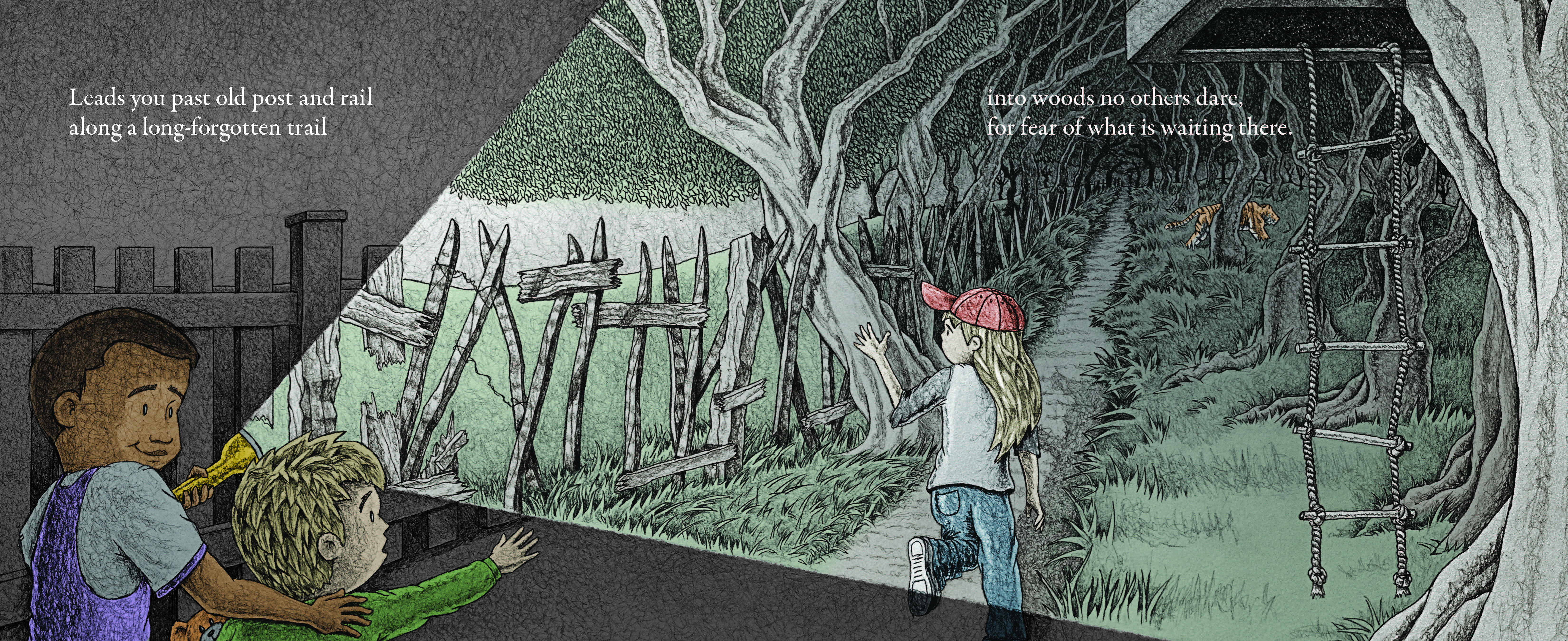 celebrate-picture-books-picture-book-review-flashlight-night-woods