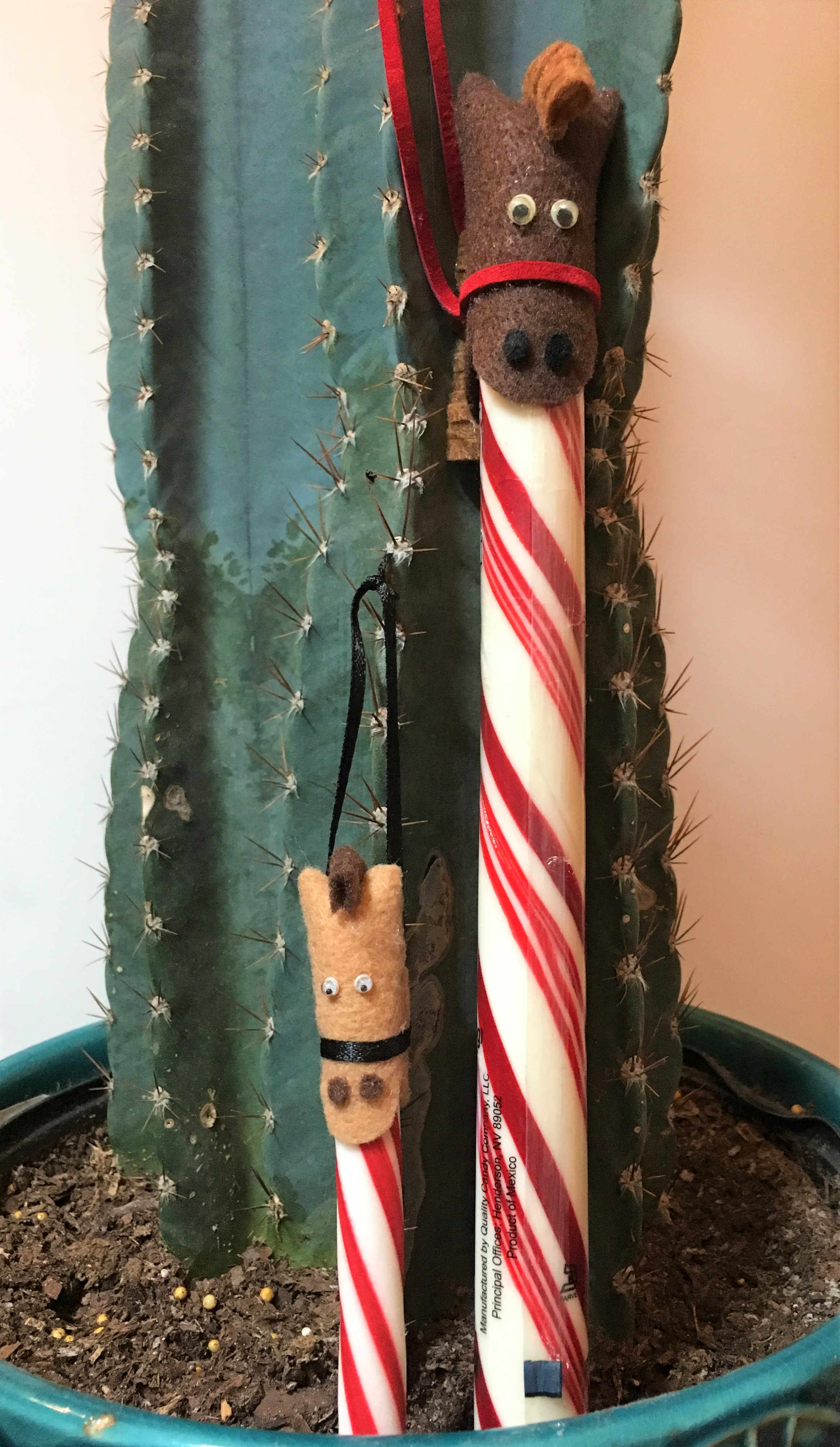 celebrate-picture-books-picture-book-review-horse-candy-stick-cover