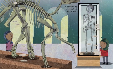 celebrate-picture-books-picture-book-review-fossil-by-fossil-skeletons