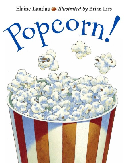 celebrate-picture-books-picture-book-review-popcorn!-elaine-landou-and-brian-lies-cover