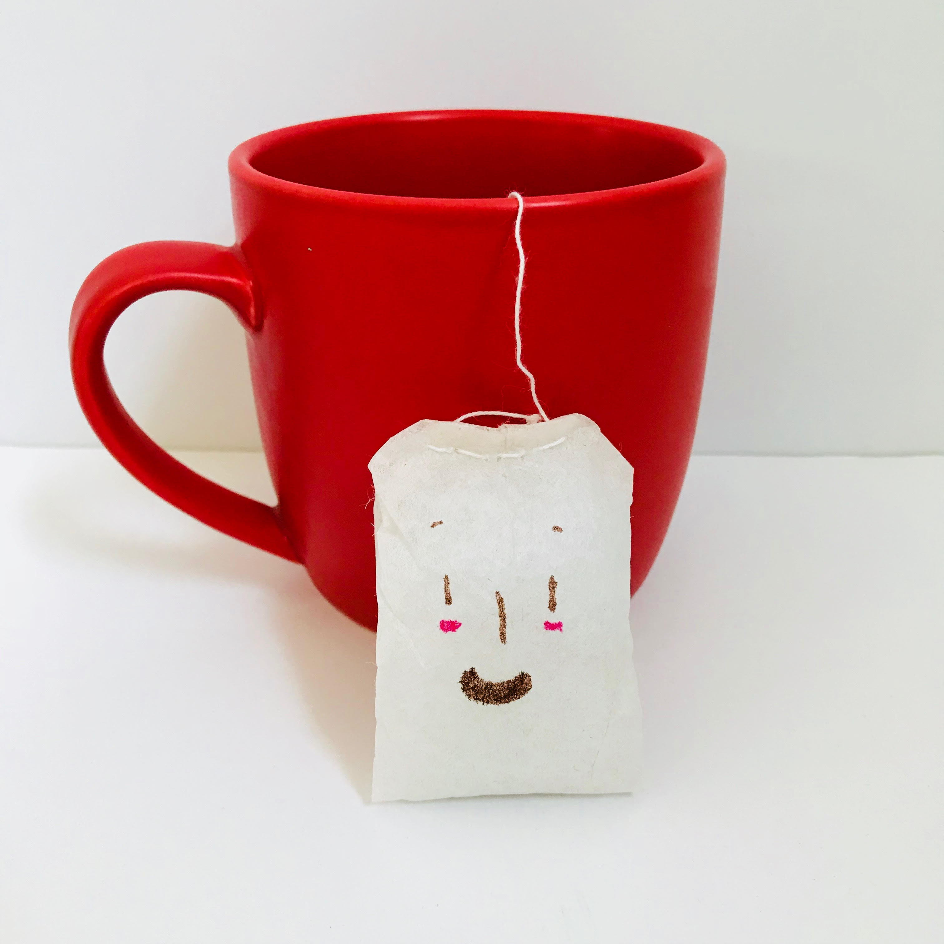 celebrate-picture-books-picture-book-review-tea-bag-buddy