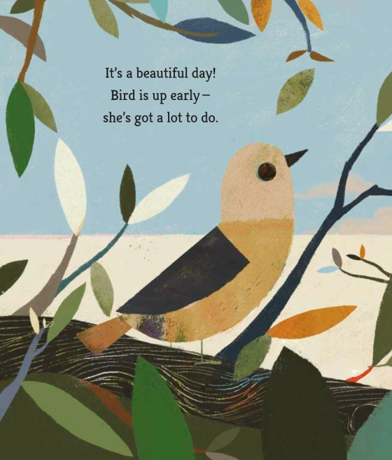 celebrate-picture-books-picture-book-review-bird-builds-a-nest-bird-in-nest