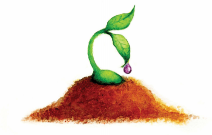 celebrate-picture-books-picture-book-review-seed-man-sprout