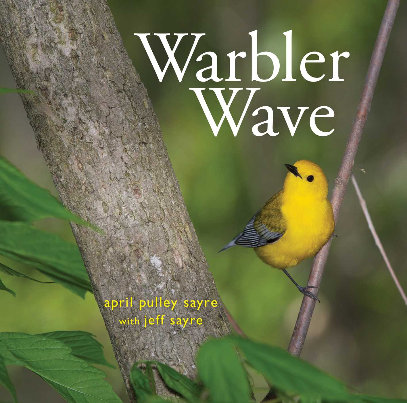 celebrate-picture-books-picture-book-review-warbler-wave-cover