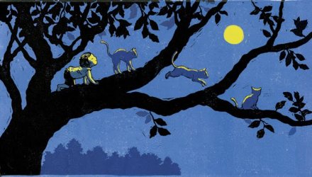 celebrate-picture-books-picture-book-review-you-are-a-lion-and-other-fun-yoga-poses-cat