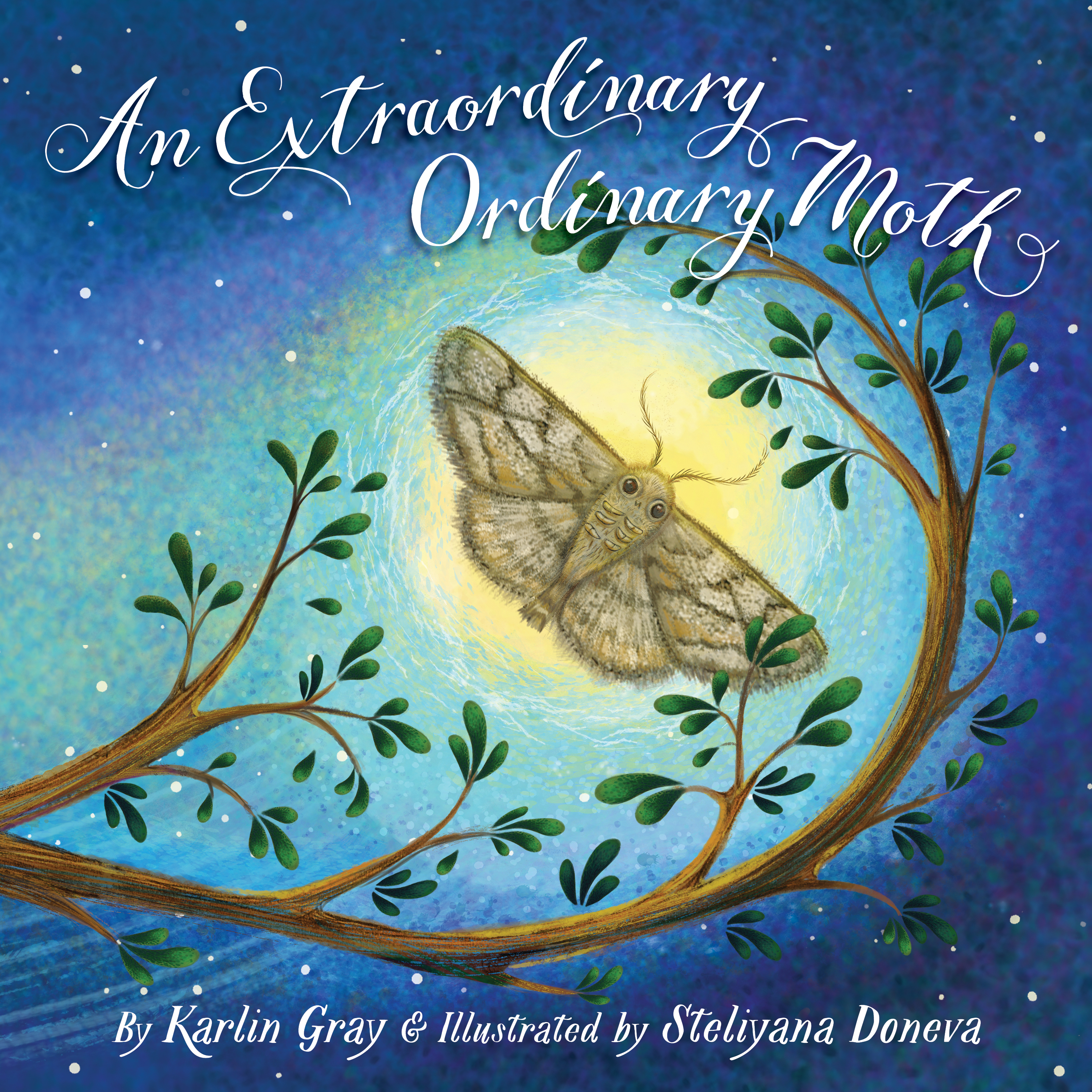 celebrate-picture-books-picture-book-review-an-extraordinary-ordinary-moth-cover